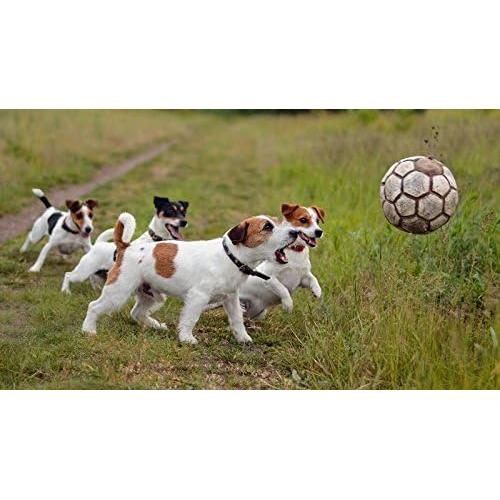 Vitaminas Ultra para Perros Mayores - Masticables 90 Unidades