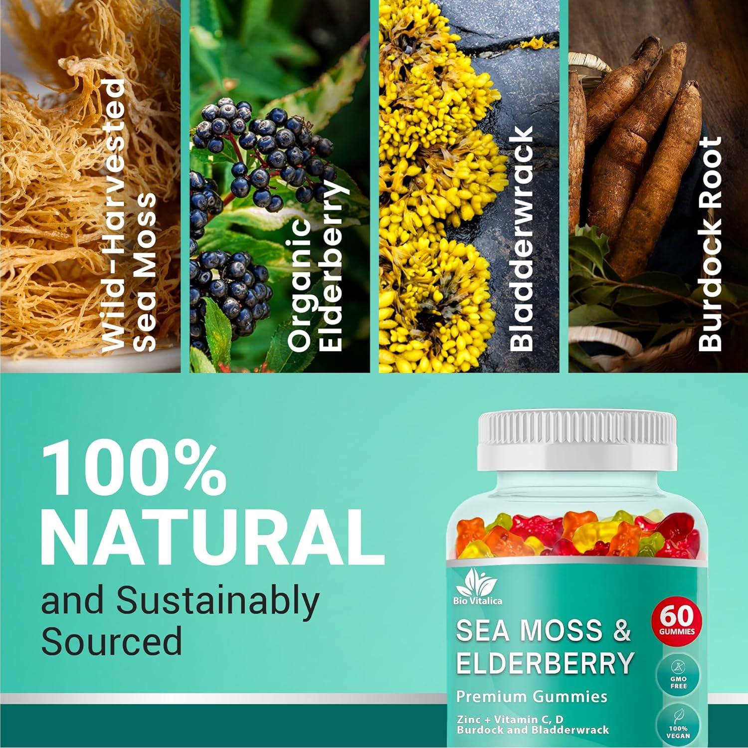 Gomitas Veganas BioVitalica de Musgo Marino 60 Unidades