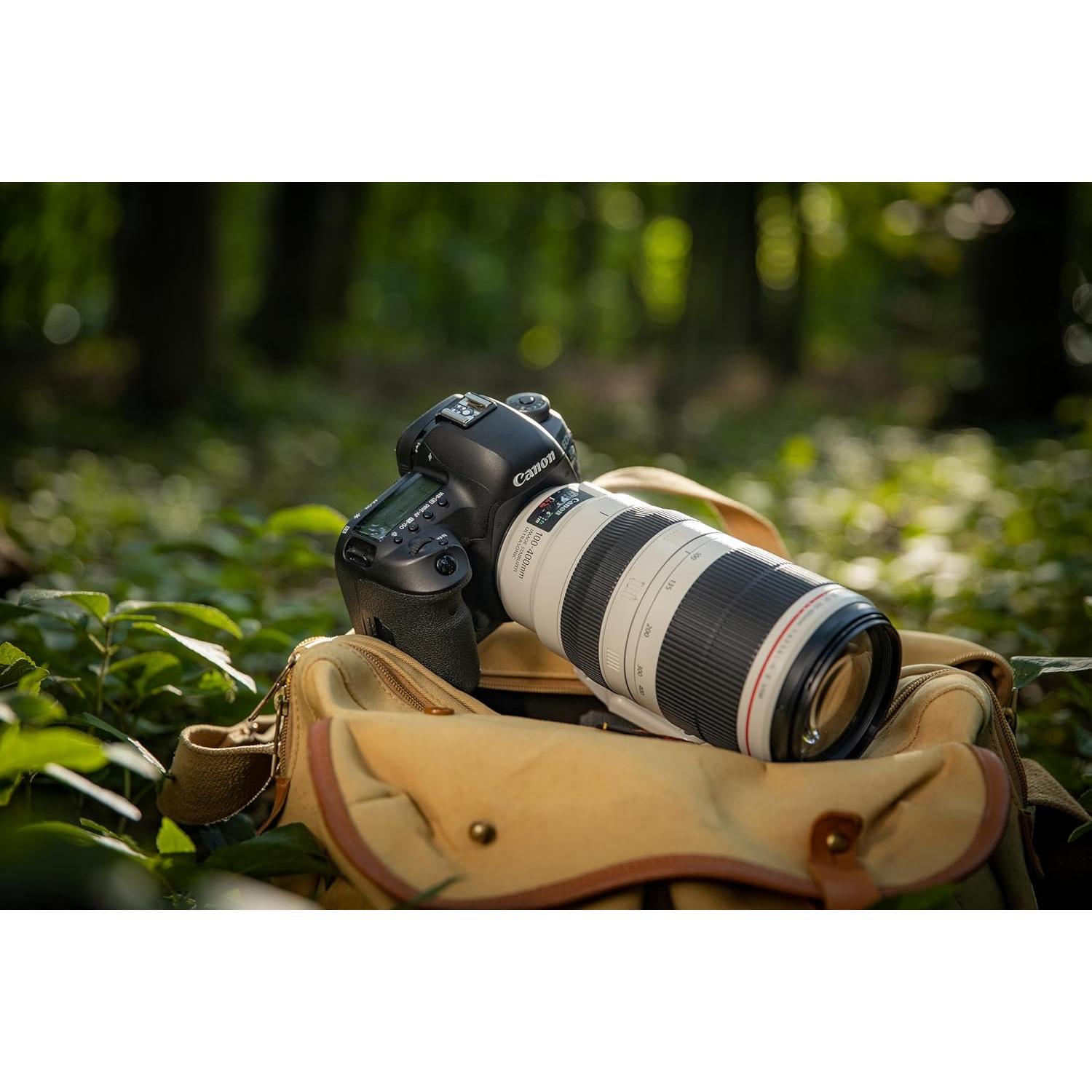 Lente Canon EF 100-400mm f/4.5-5.6L IS II USM - Internacional