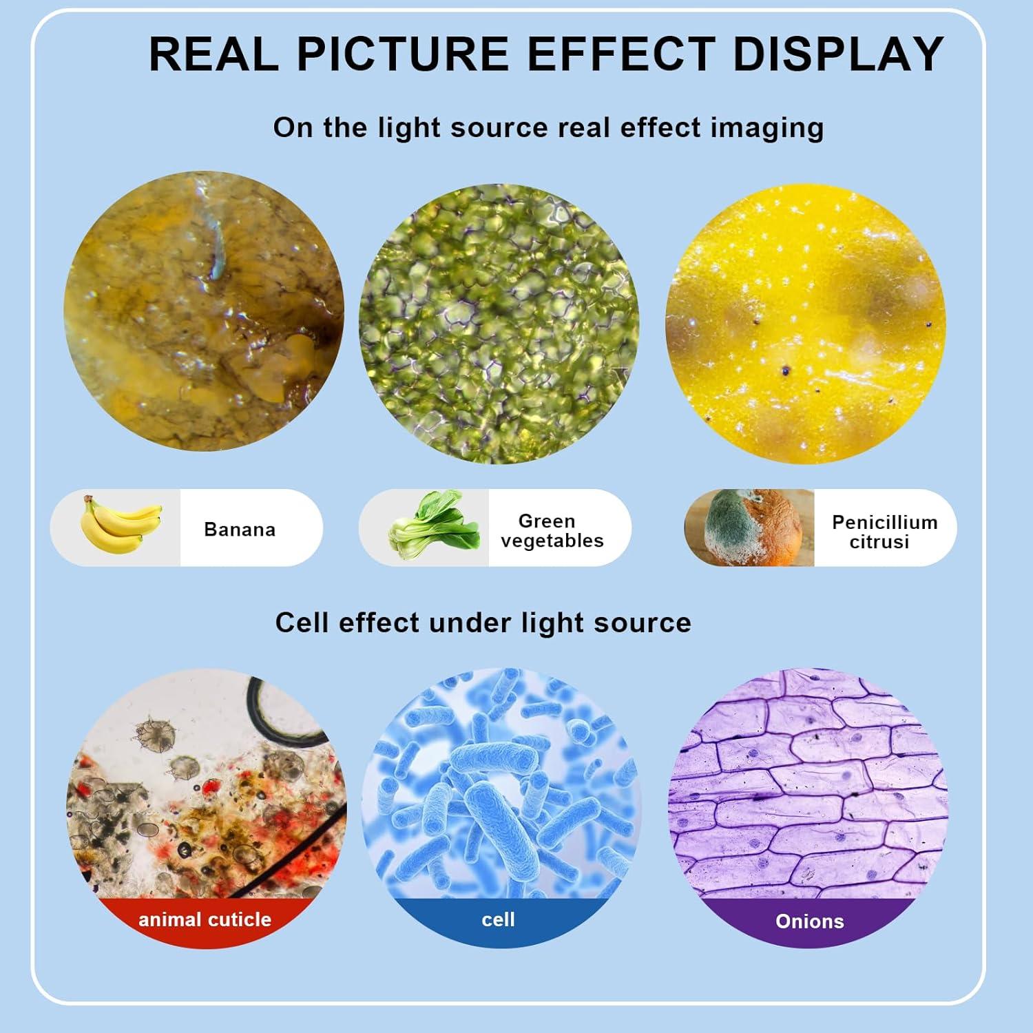 Microscopio binocular Woehrsh DHEH9143 40X-2000X USB LED