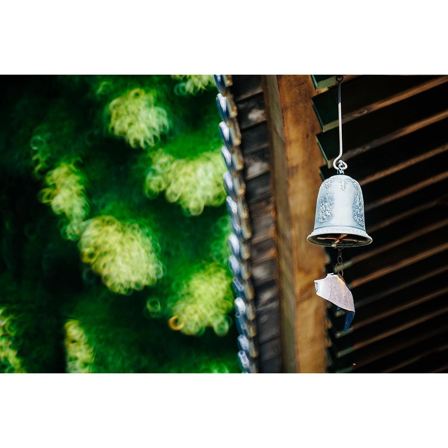 Lente Reflex Samyang 300mm F6.3 para Nikon - Compacta y Ligera