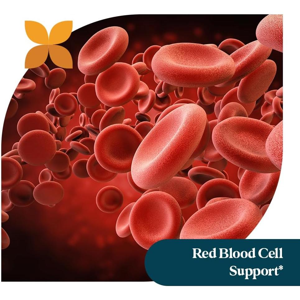 Complejo de Vitaminas B Pattern Wellness - 60 Cápsulas