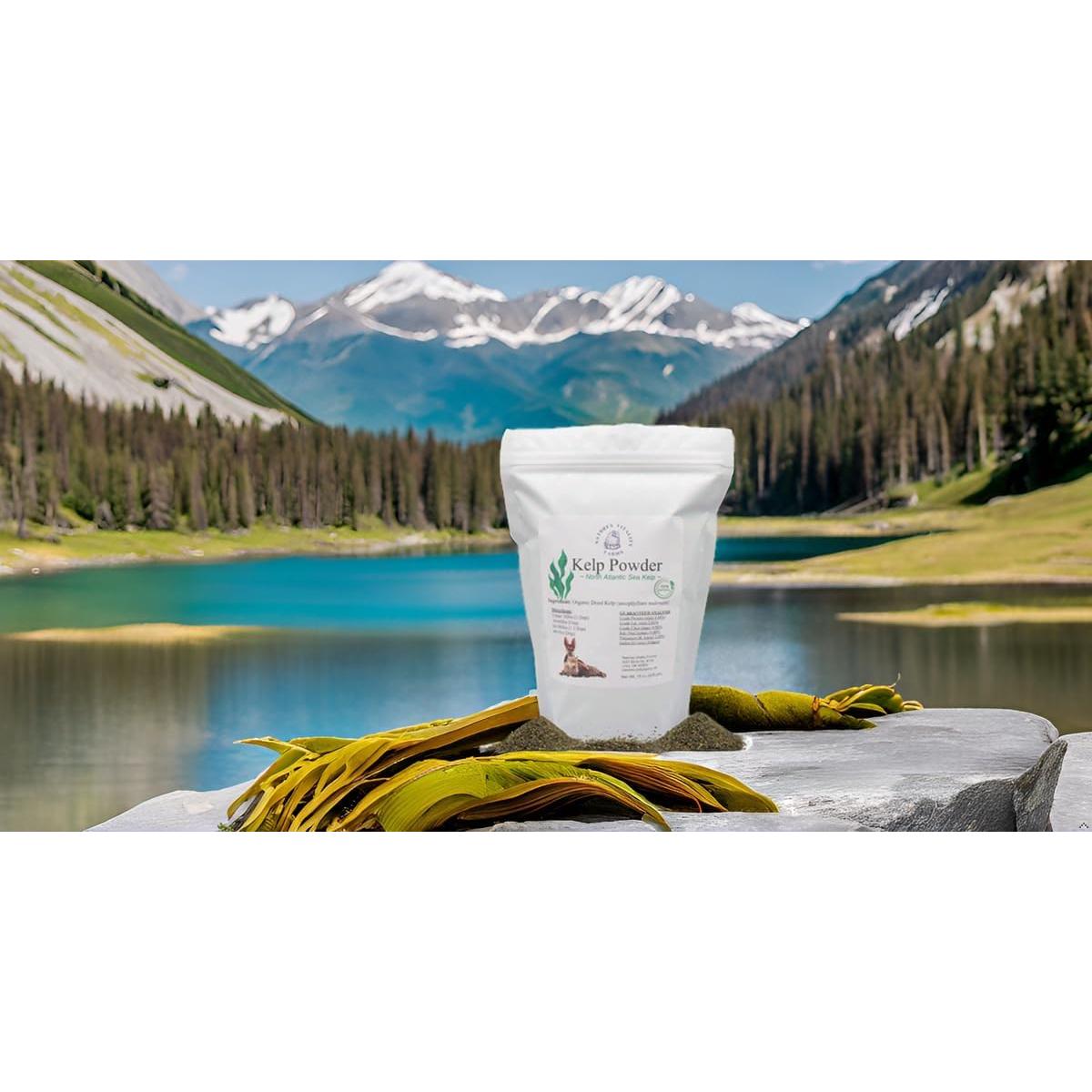 Polvo de Kelp Natural para Perros y Gatos Natures Vitality 425g