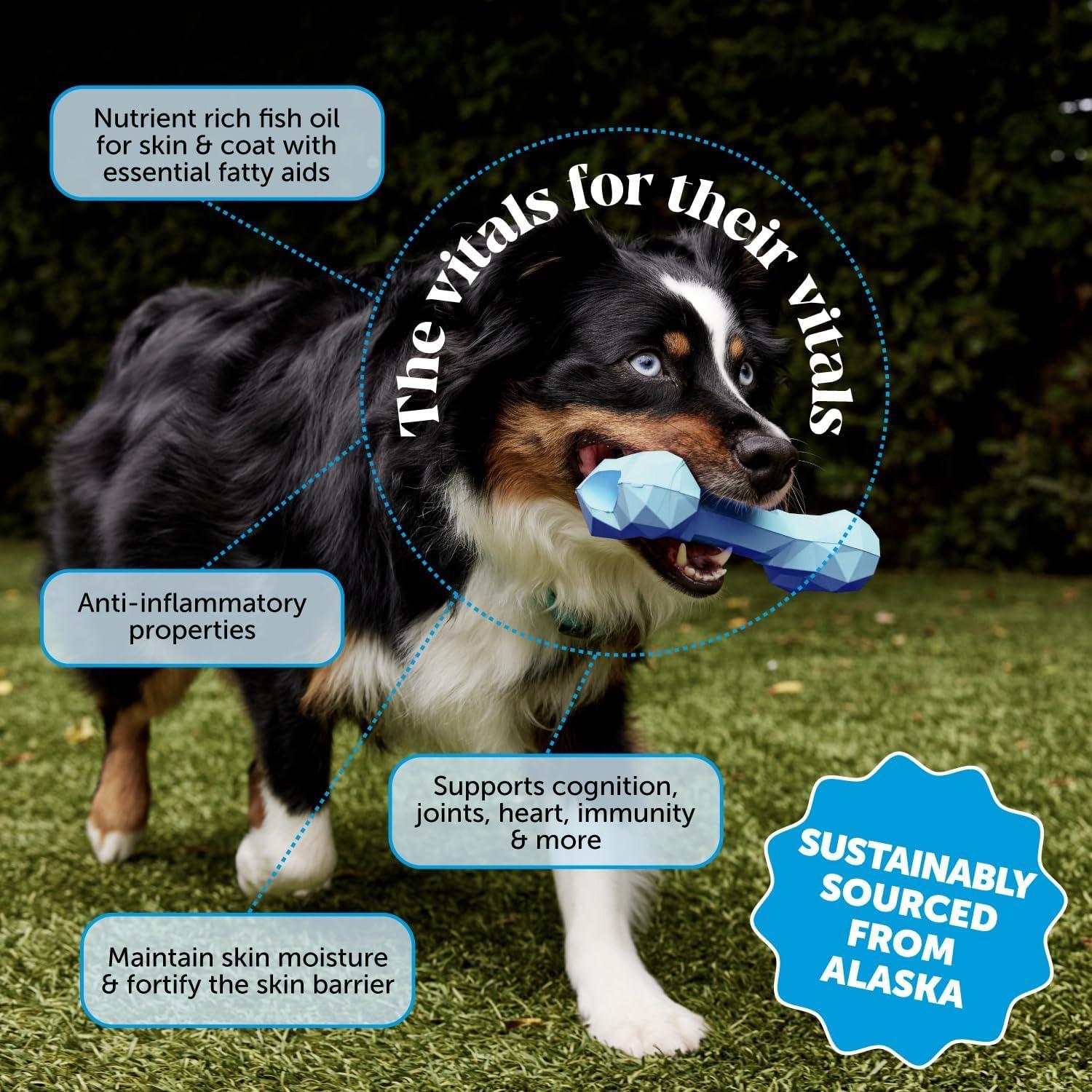 Suplemento Aceite de Pescado Omega 3 Pet Honesty 473ml