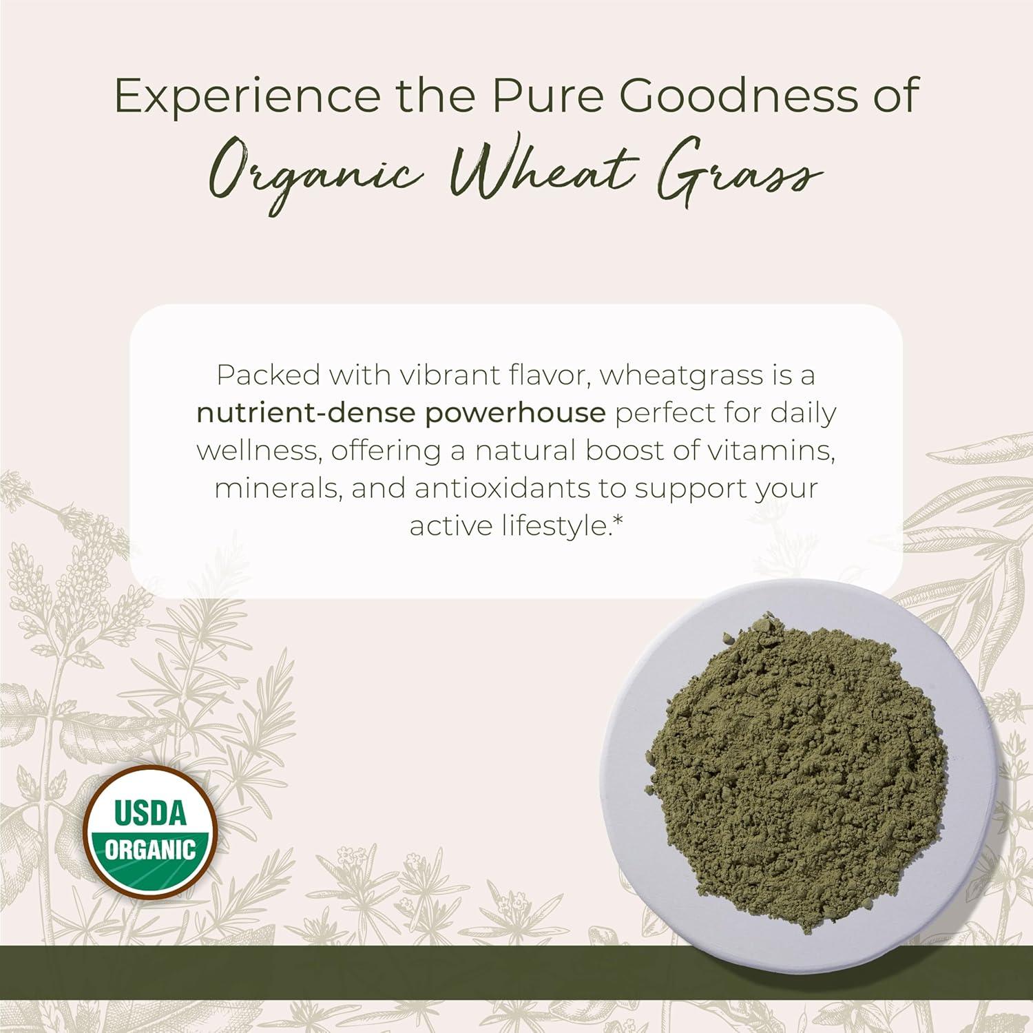 Polvo de pasto de trigo orgánico Starwest Botanicals 0.45 kg