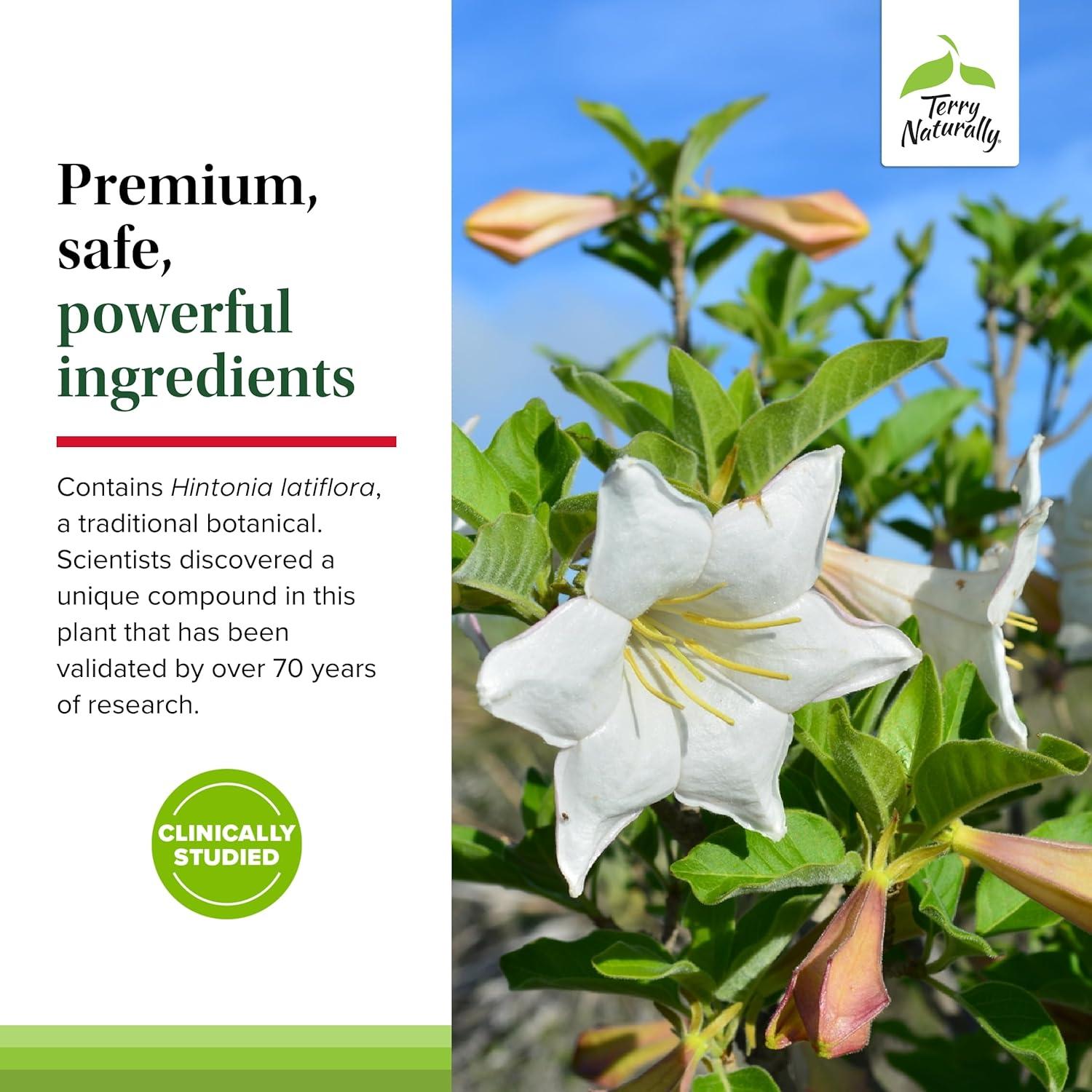 Suplemento Sucontral D Terry Naturally - B-Complejo y Folato - 60 Cápsulas