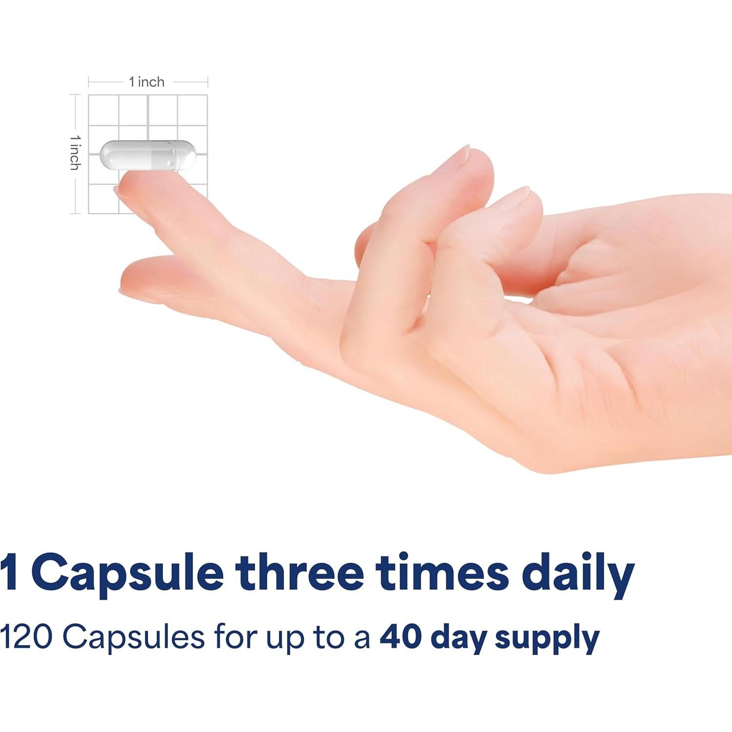 Isoflavonas de Soja No-OGM Puritan's Pride 750mg 120 Cápsulas