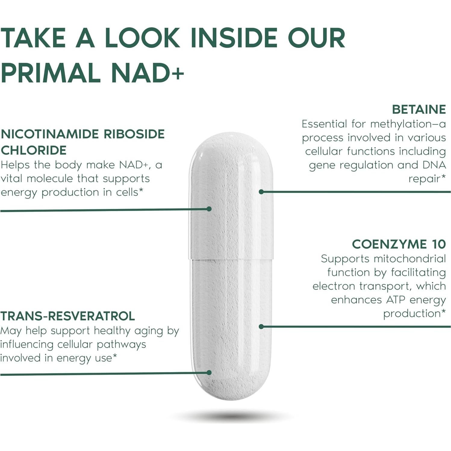 Suplemento NAD+ Primal Harvest 60 Cápsulas Energía Celular