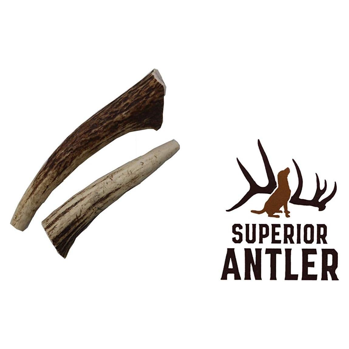 Cuernos de Alce para Perros Superior Antler - Grado A 142g
