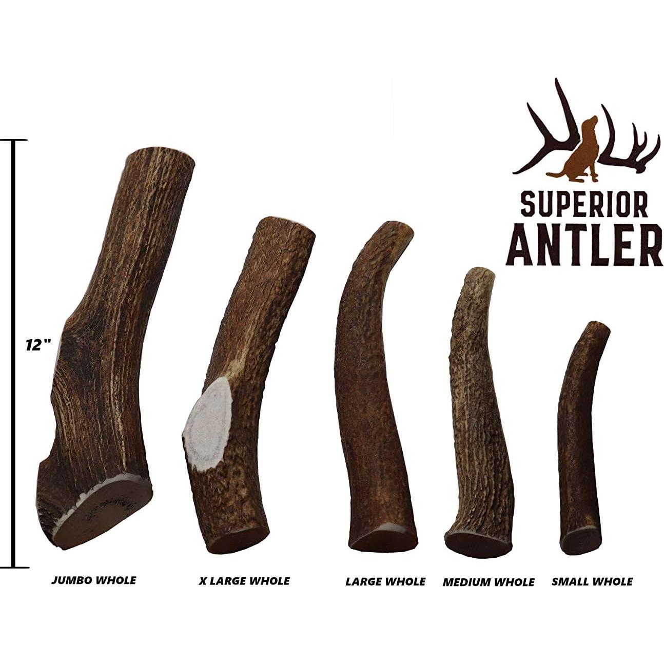 Cuernos de Alce para Perros Superior Antler - Grado A 142g