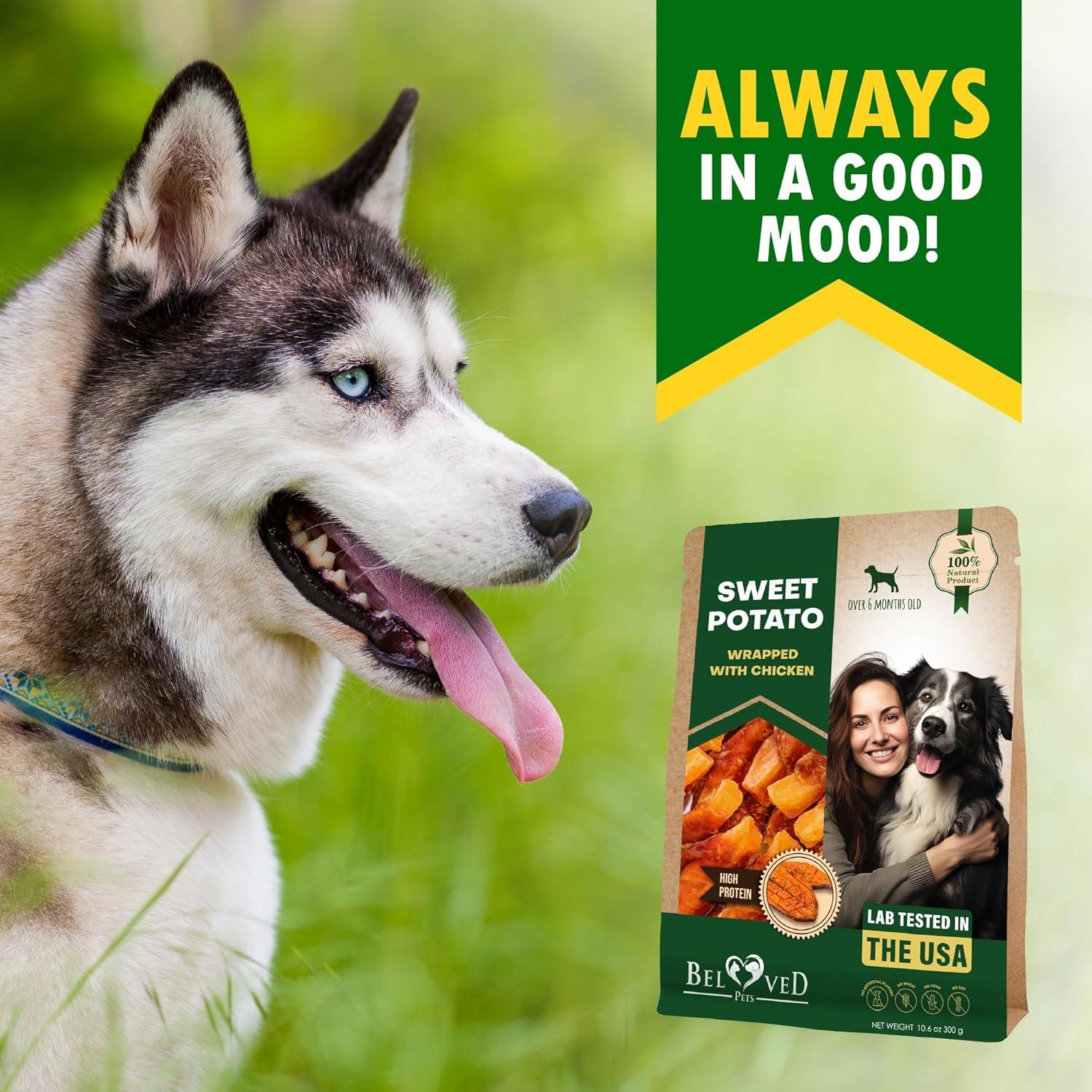 Galletas Masticables para Perros Mascotas Queridas 320g Pollo y Batata