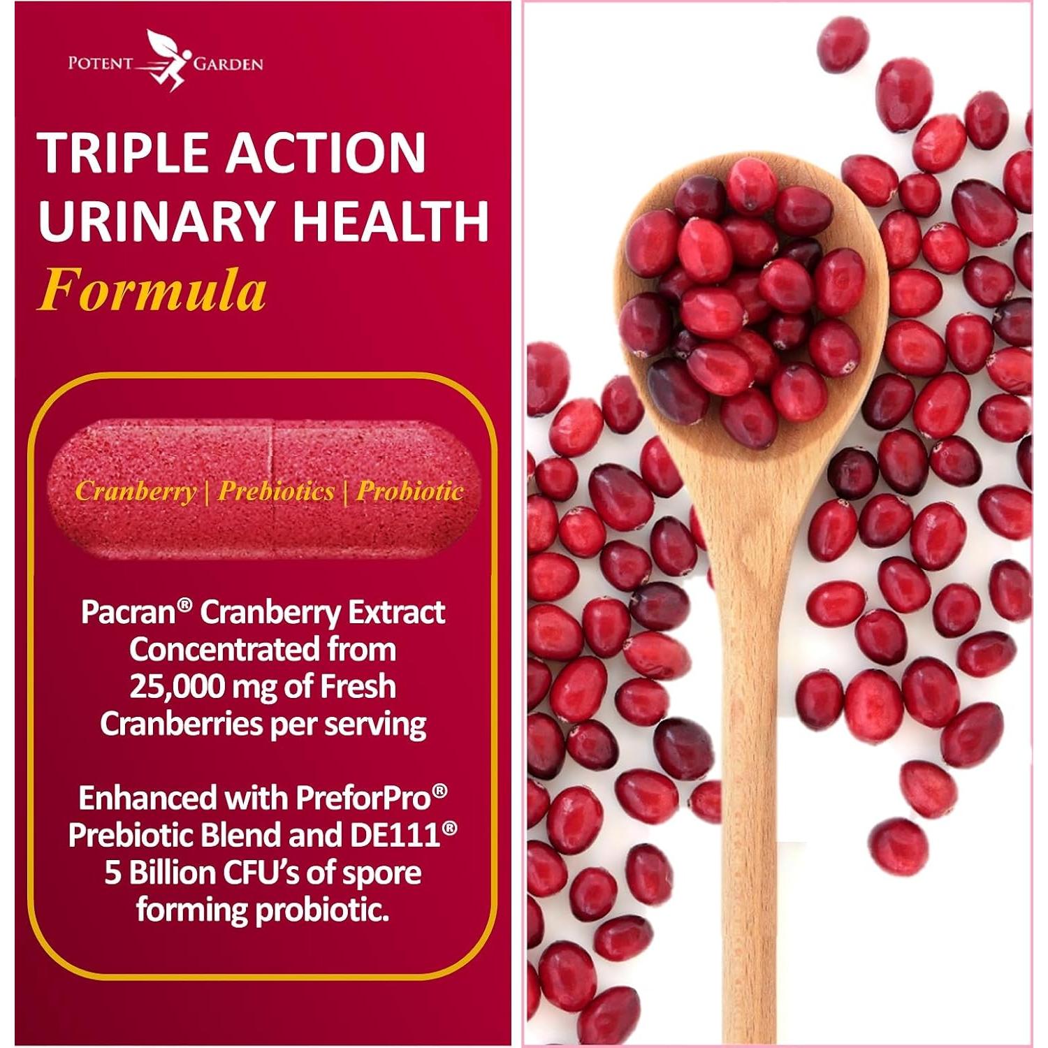 Suplemento Urinario Potent Garden 60 Caps - Arándano Probiotico