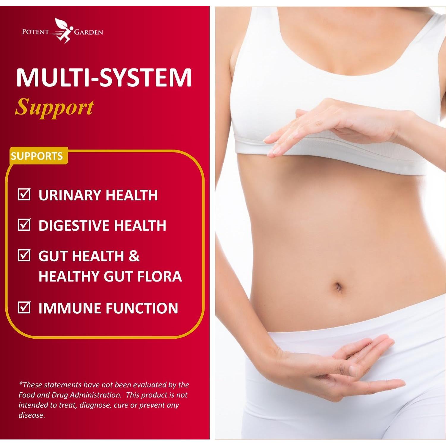 Suplemento Urinario Potent Garden 60 Caps - Arándano Probiotico