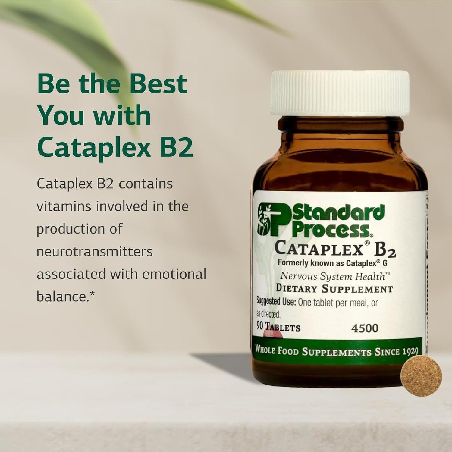 Suplemento Cataplex B2 Standard Process - 90 Tabletas