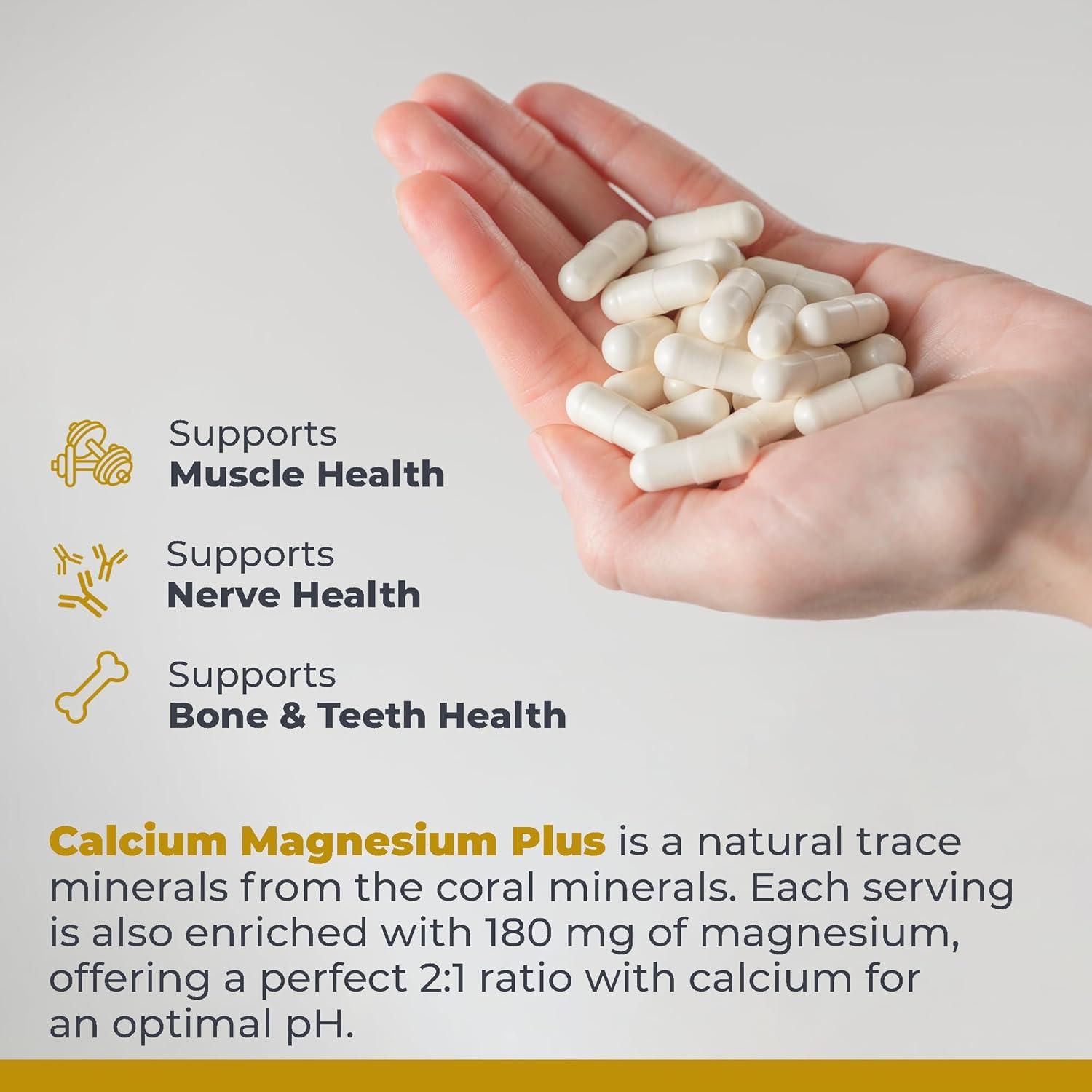 Calcium Magnesium Plus - Calcium Magnesium Supplement, Calcium Supplement for Bone Health, with Mushroom Complex - Reishi & Lions Mane - 90 Vegetarian Capsules