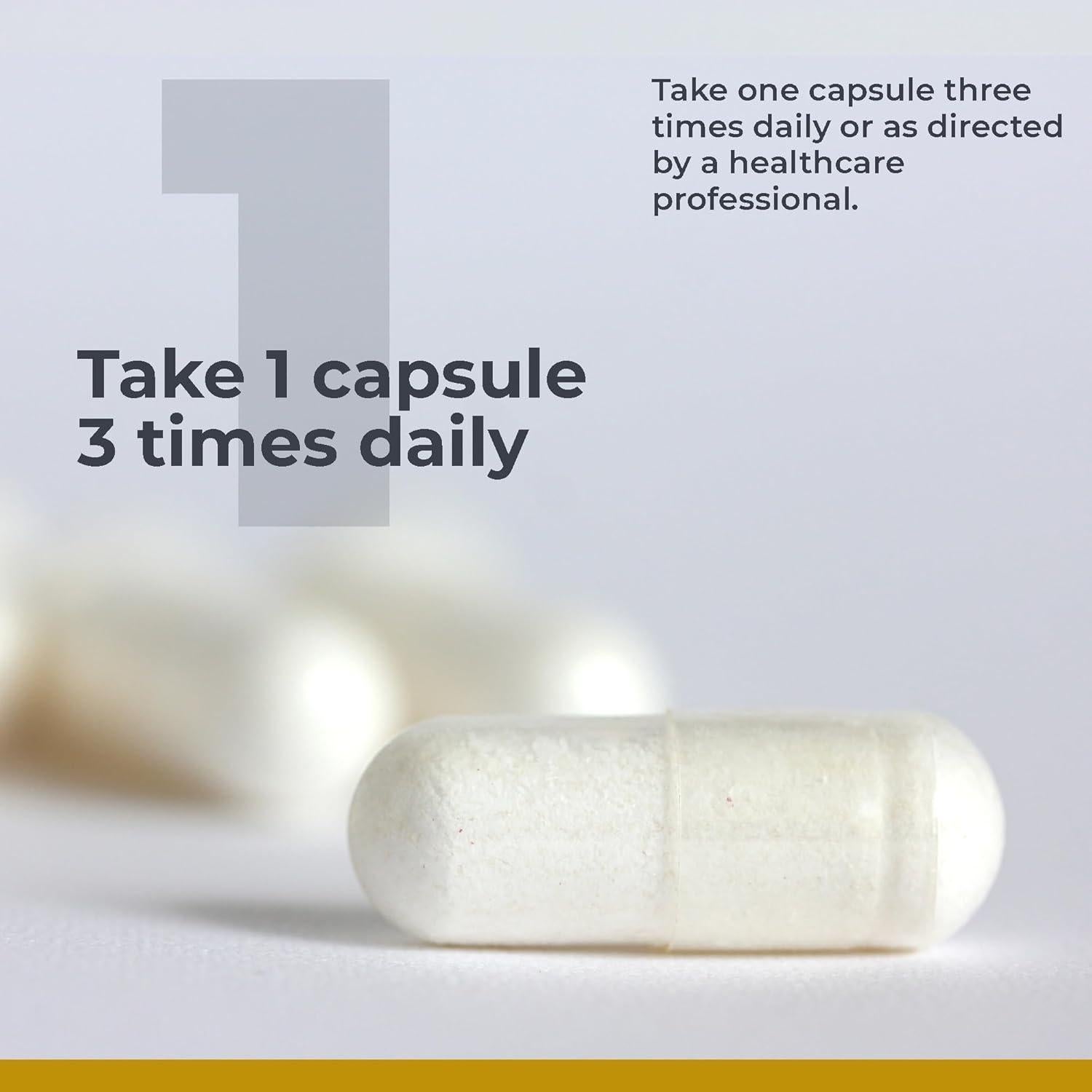 Calcium Magnesium Plus - Calcium Magnesium Supplement, Calcium Supplement for Bone Health, with Mushroom Complex - Reishi & Lions Mane - 90 Vegetarian Capsules