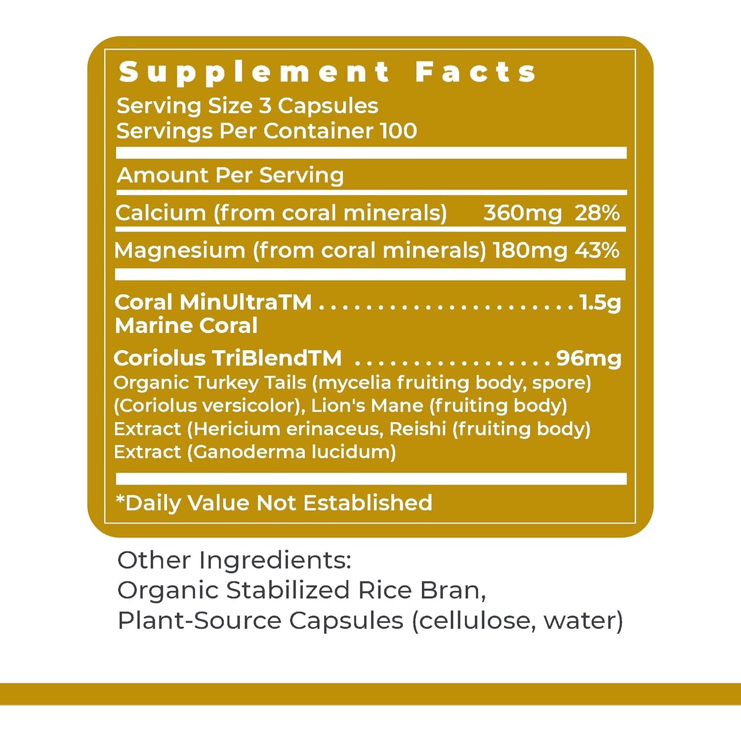 Calcium Magnesium Plus - Calcium Magnesium Supplement, Calcium Supplement, Pure Magnesium, Mushroom Complex with Reishi & Lions Mane - 300 Vegetarian Capsules