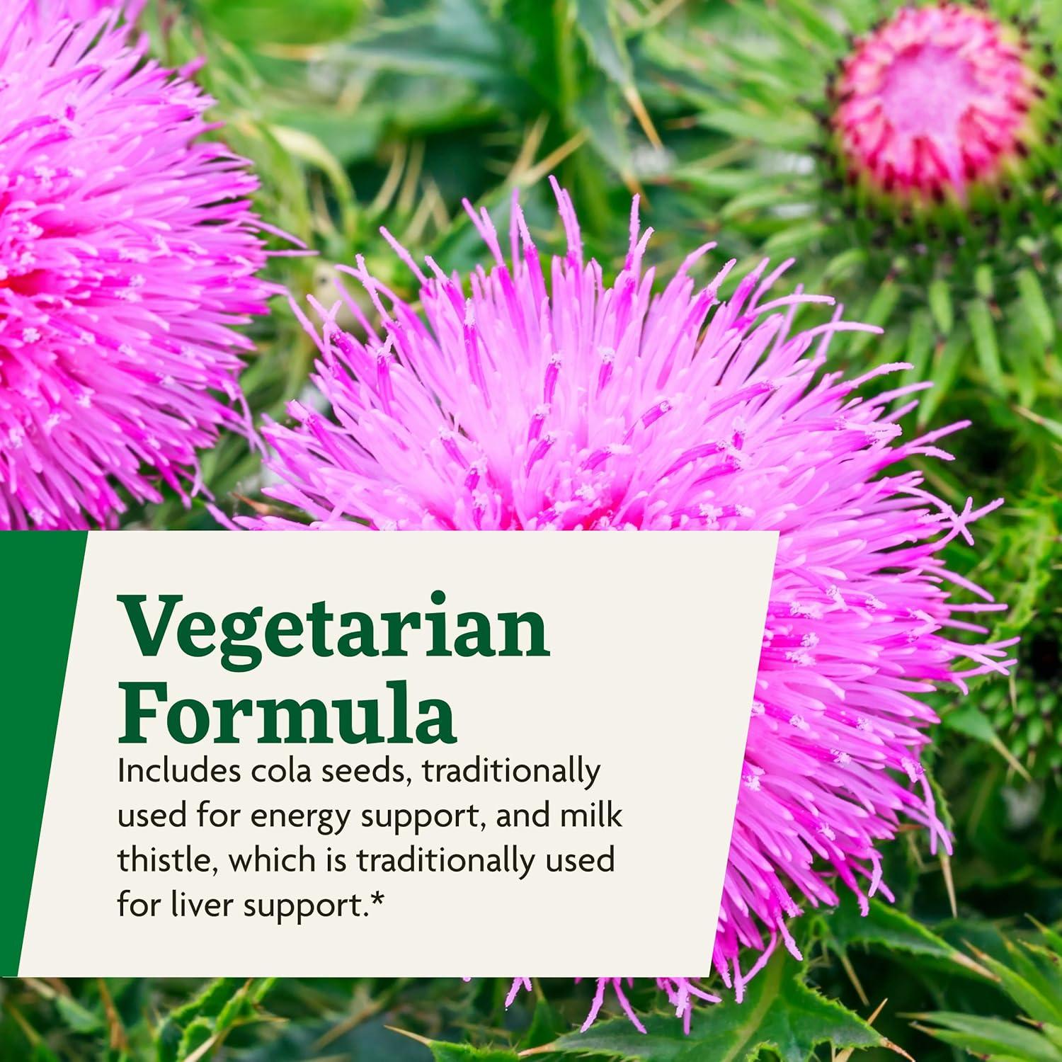 Floradix Epresat Multivitamínico Líquido 500 ml - Salus