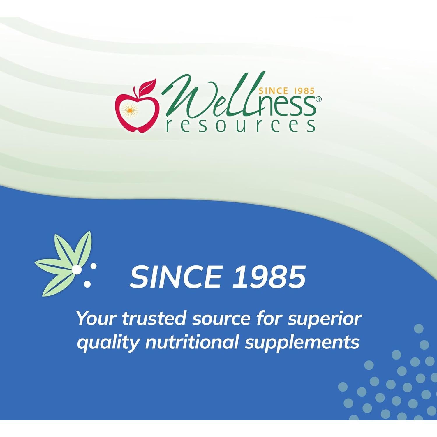 Suplemento de Hierro Wellness Resources 180 Cápsulas Vegano