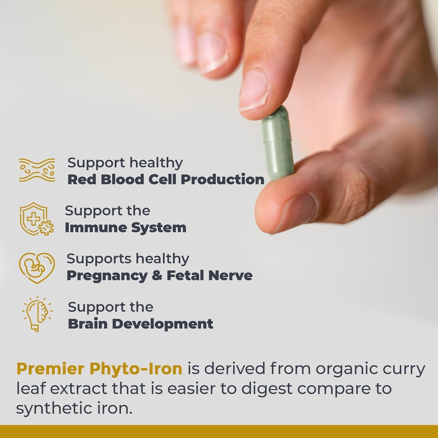 Phyto-Iron - Plant Based Iron for Men & Women for Blood Support, Curry Leaves Supplement, Iron Supplements, Non-Heme Iron, 18mg Iron Per Serving - 120 Vegetarian Capsules