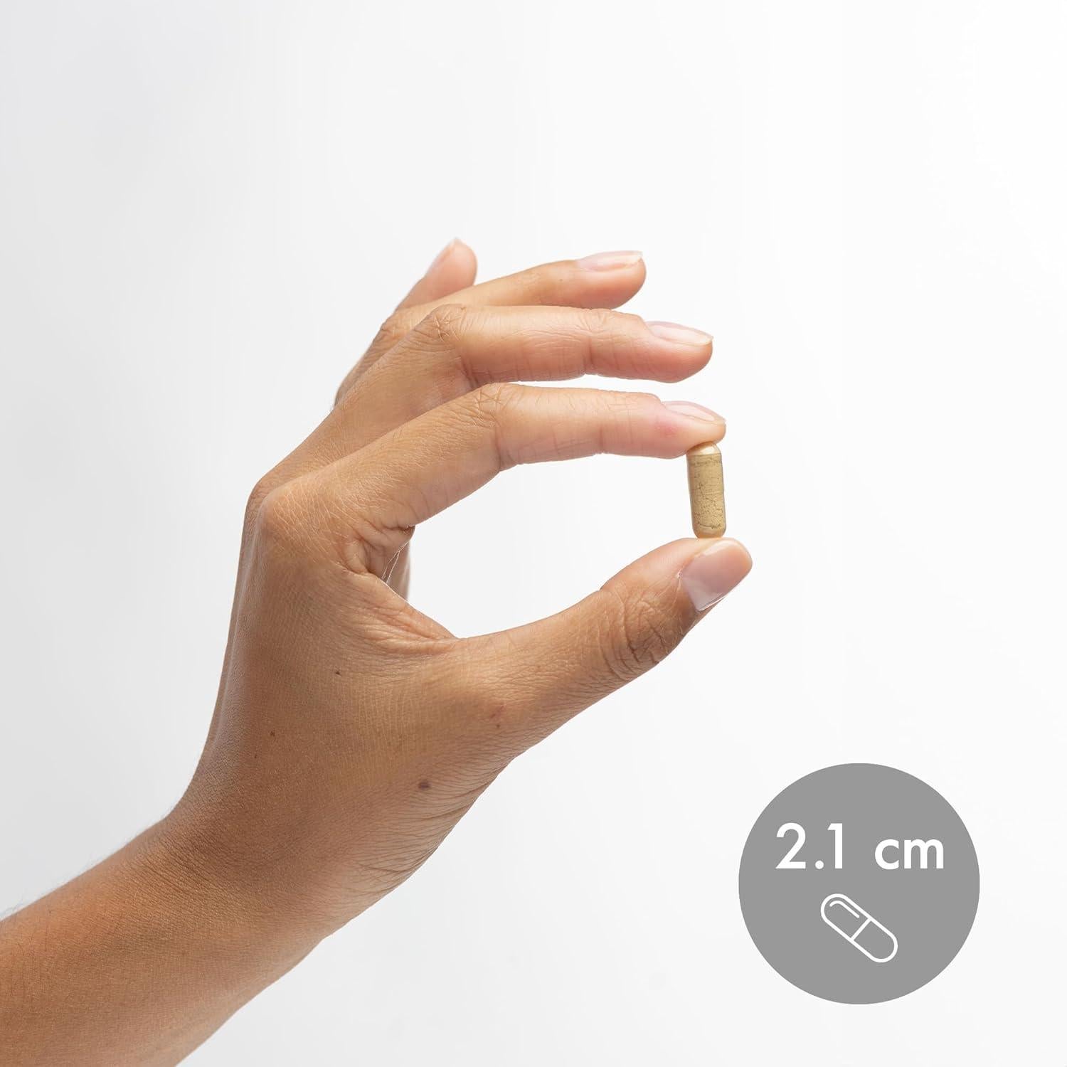 Suplemento Dietético Jengibre Fermentado Orgánico Dr. Mercola 60 Cápsulas