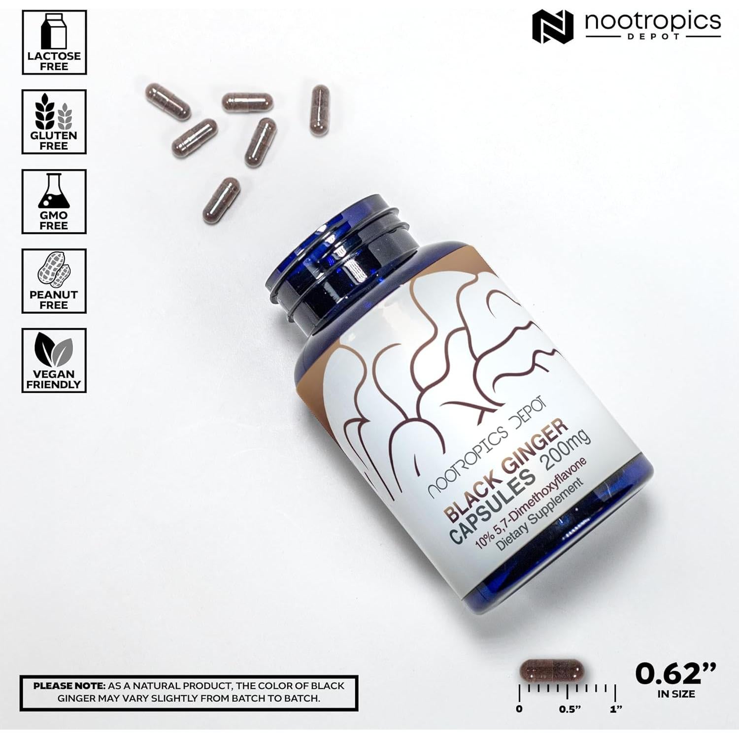 Cápsulas de Extracto de Jengibre Negro Nootropics Depot 180 Unidades