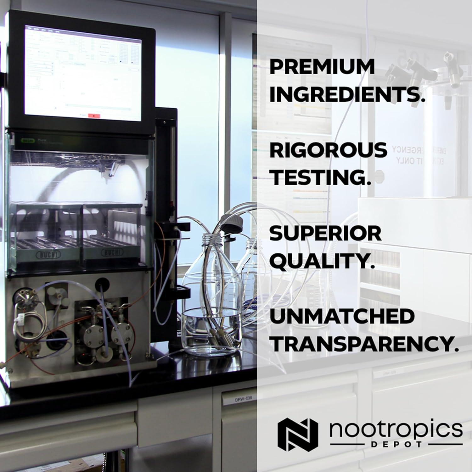 Cápsulas de Extracto de Jengibre Negro Nootropics Depot 180 Unidades