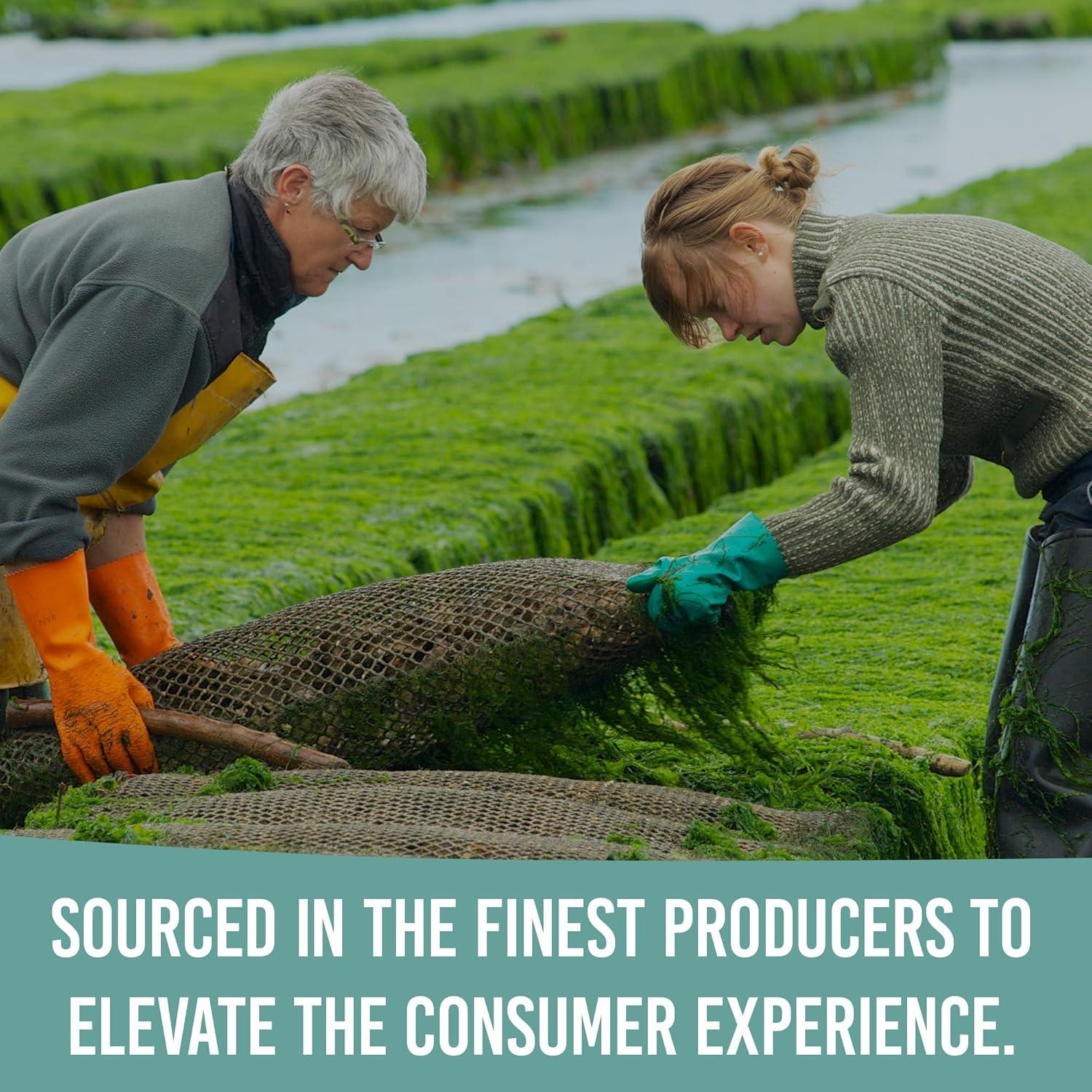 Polvo de Espirulina Azul Orgánica Holistic Bin 50g - Superalimento Vegano