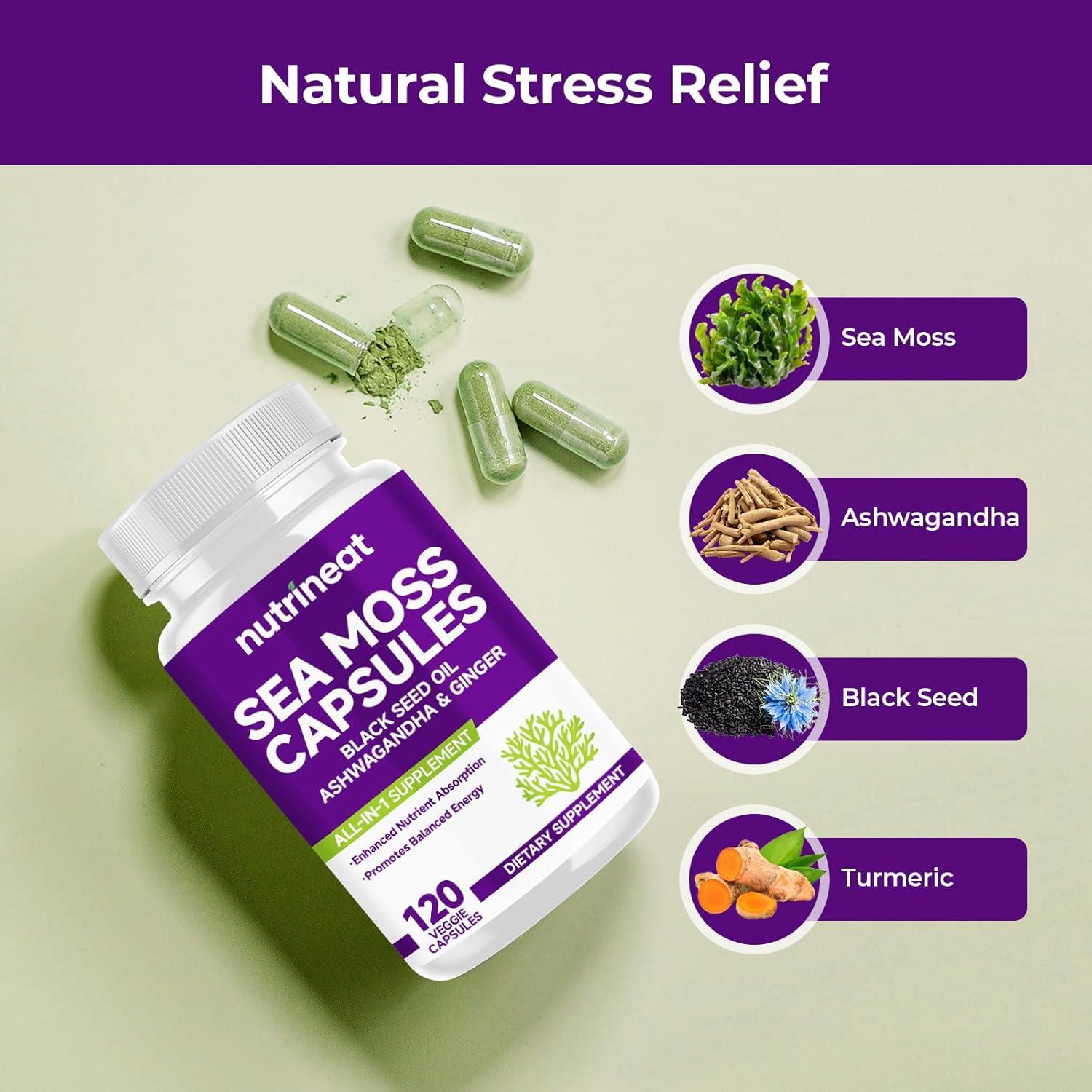 Cápsulas de Musgo Marino NutriNeat 120 Unidades Suplemento Natural