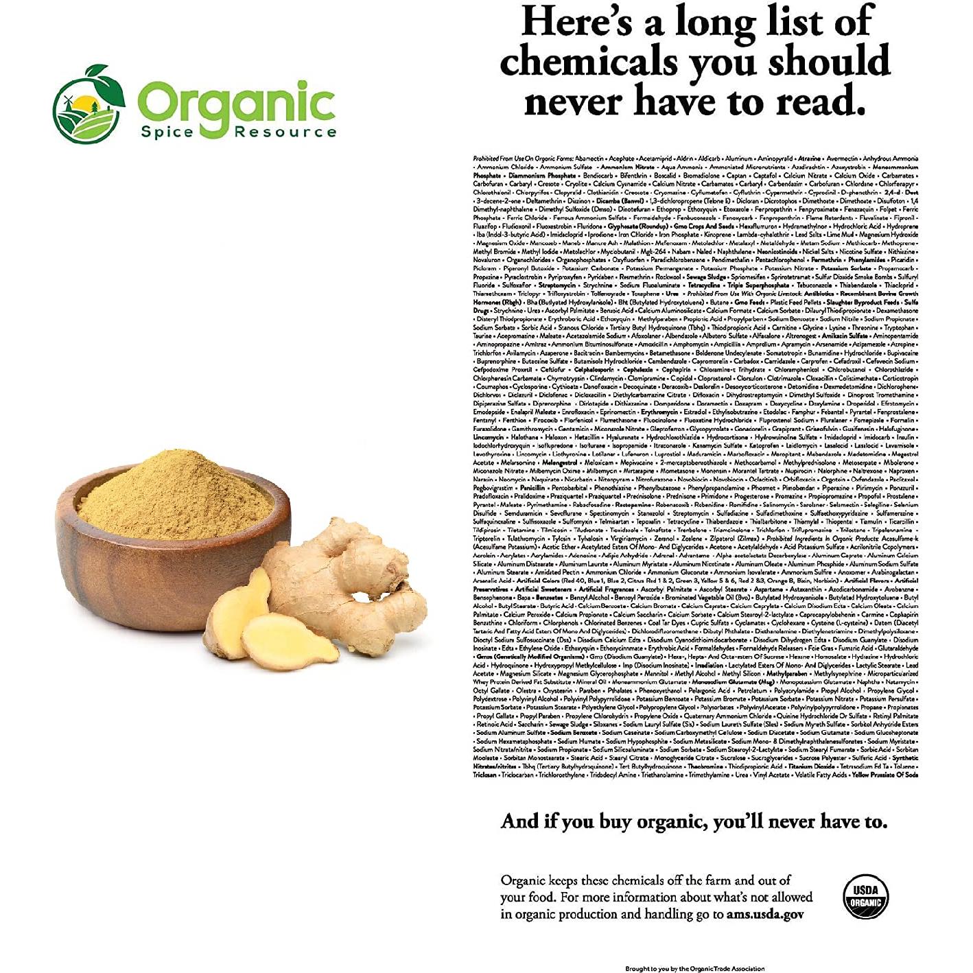 Polvo de Jengibre Orgánico SHOPOSR 226g Aprobado USDA