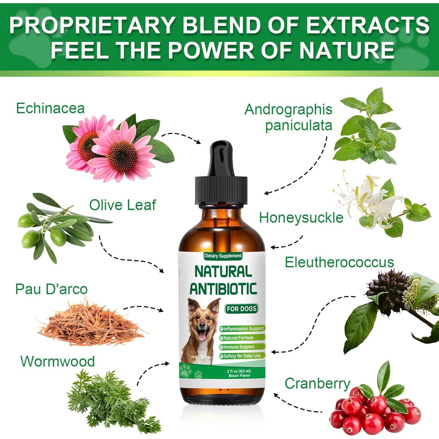 Antibiótico Natural para Perros RUAKPL 60ml - Suplemento Inmunológico