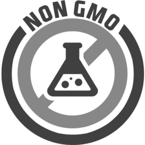 Suplemento Inmunológico Zatik Naturals 90 Cápsulas Veganas