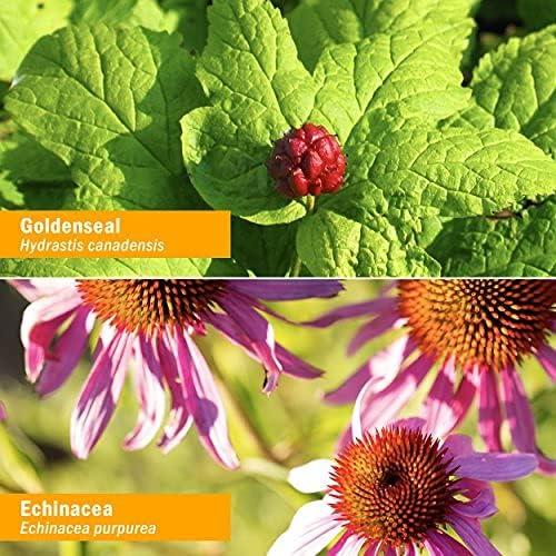 Extracto Líquido de Equinácea Dorada Herb Pharm 118ml Orgánico