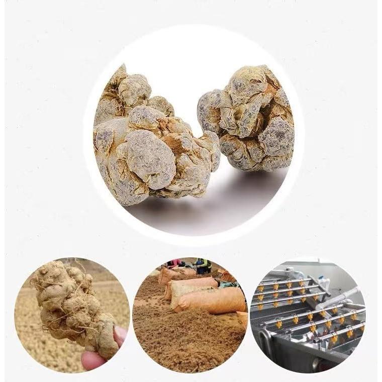 Polvo de Sanqi 100% Natural Yunnan - 250g Ginseng Tienchi