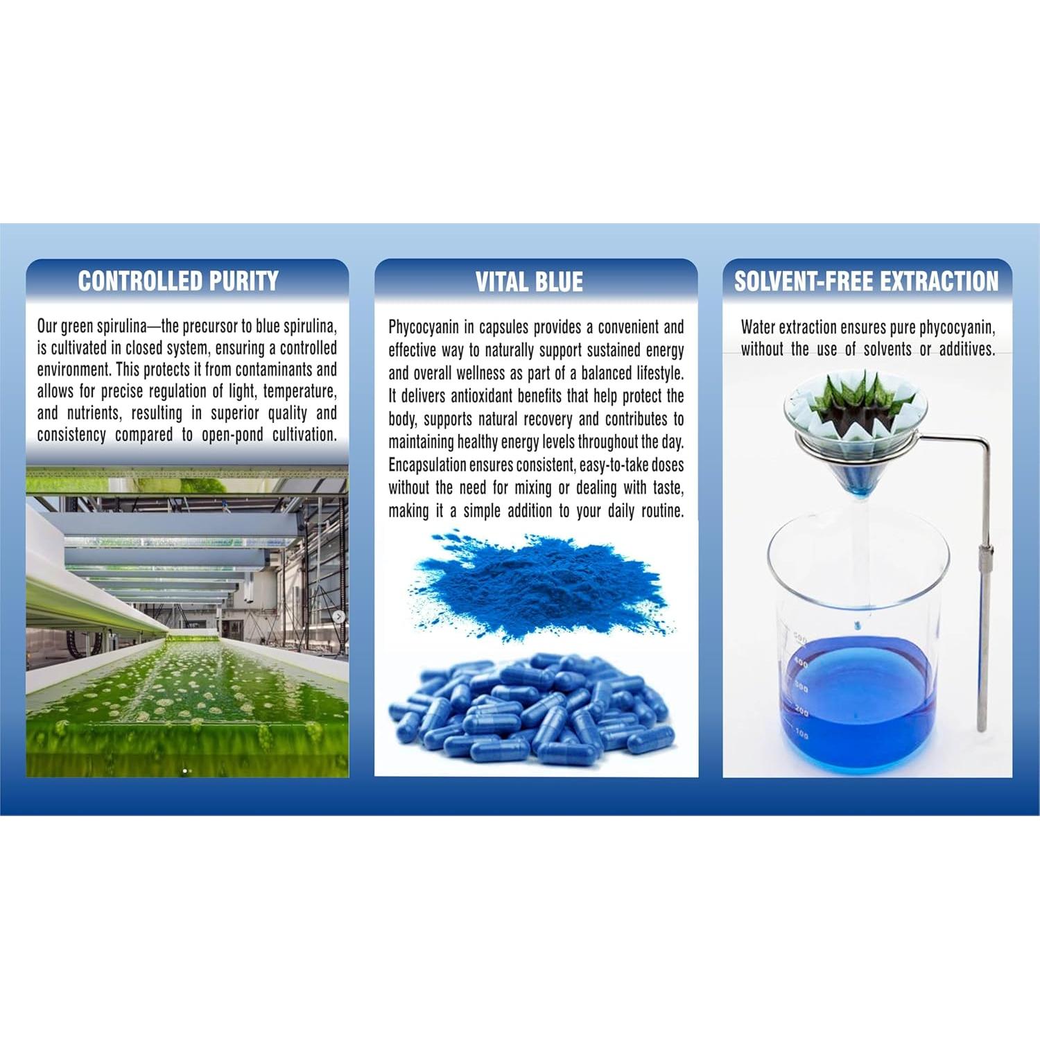 Espirulina Azul Orgánica Pharmakon 90 Cápsulas Veganas