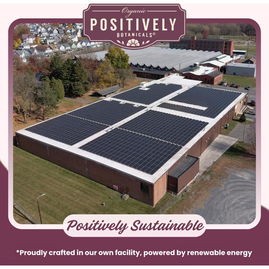 Espirulina en Polvo Orgánica 453g - Empresa Positivamente