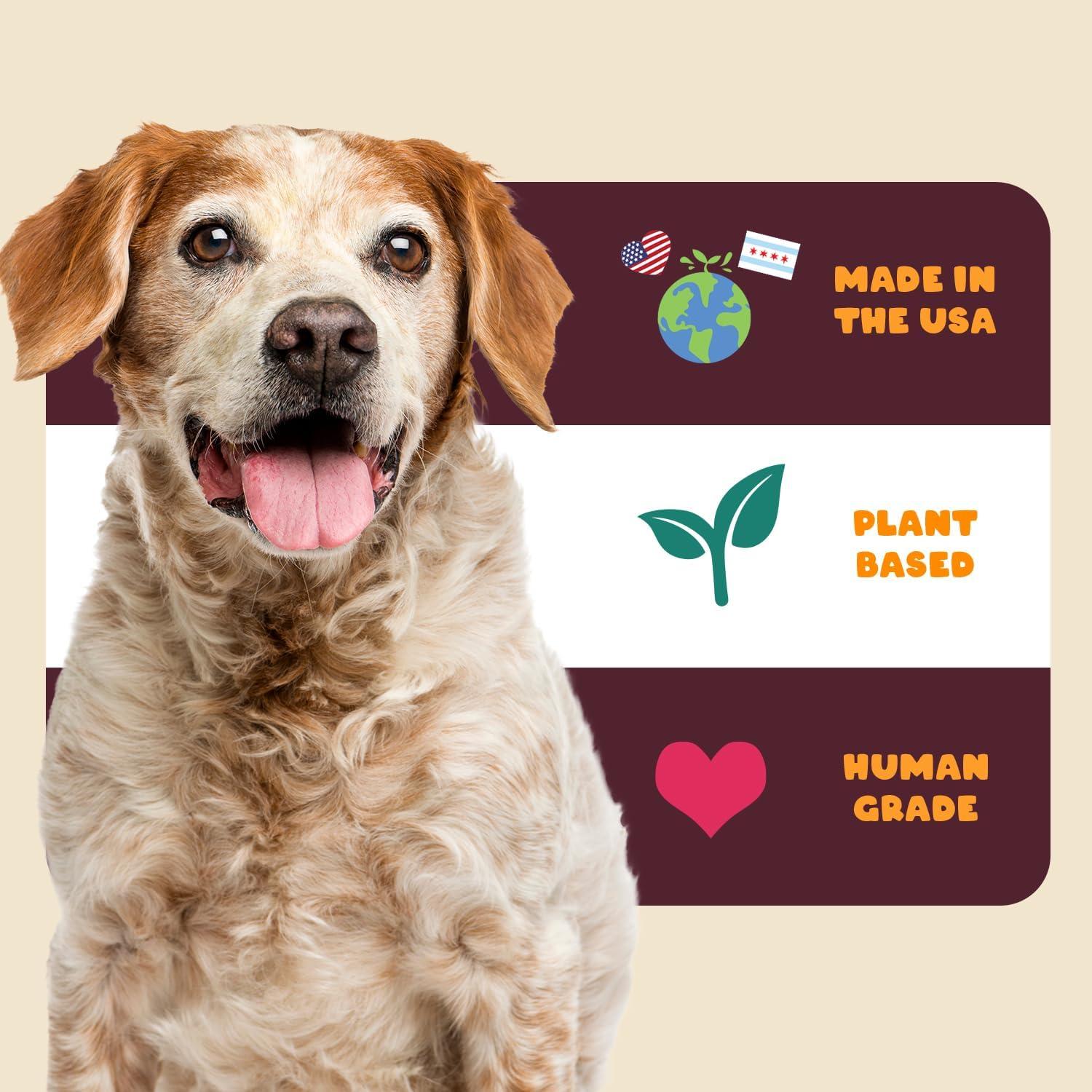 Suplemento Natural para Perros Petipet Cúrcuma 200g - Alivio Alergias y Articulaciones