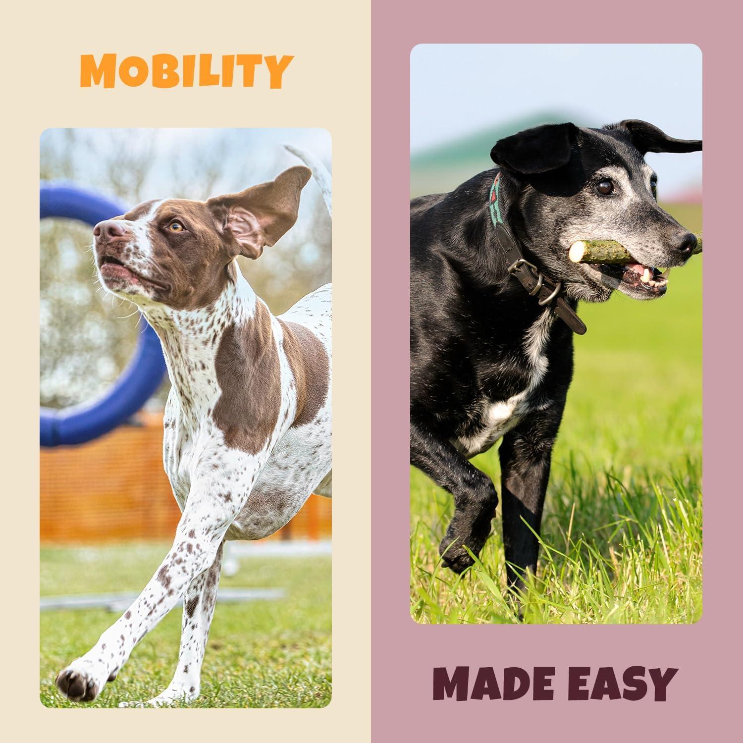 Suplemento Natural para Perros Petipet Cúrcuma 200g - Alivio Alergias y Articulaciones