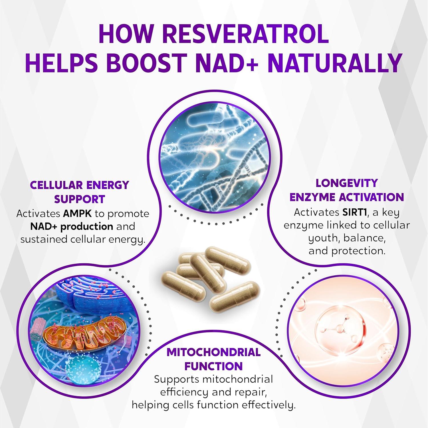 Suplemento de Resveratrol 6320mg Nessarit 150 Cápsulas