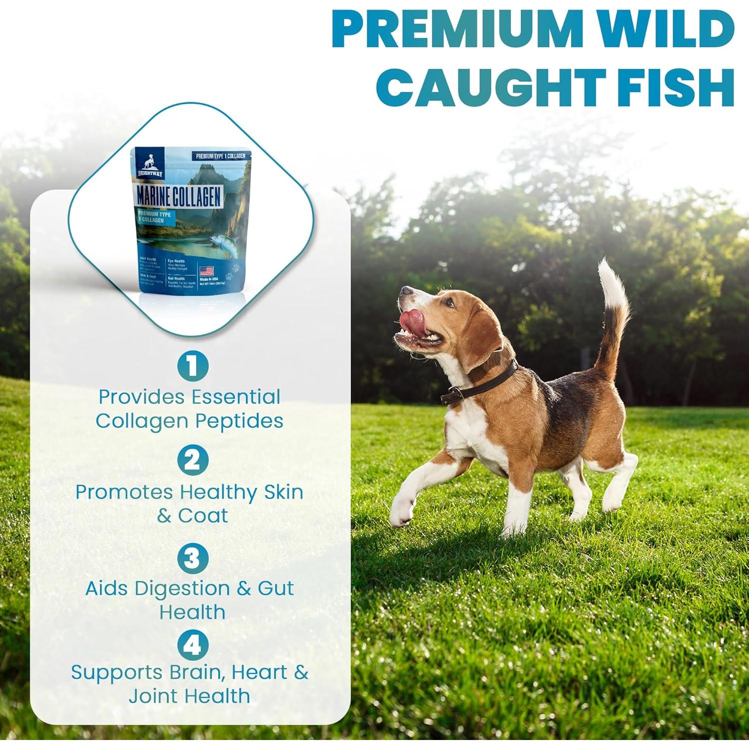 Colágeno Marino para Perros Brightway Pets - Salud Articular y Piel