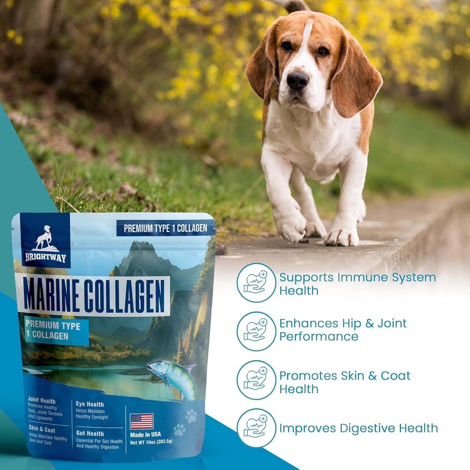 Colágeno Marino para Perros Brightway Pets - Salud Articular y Piel