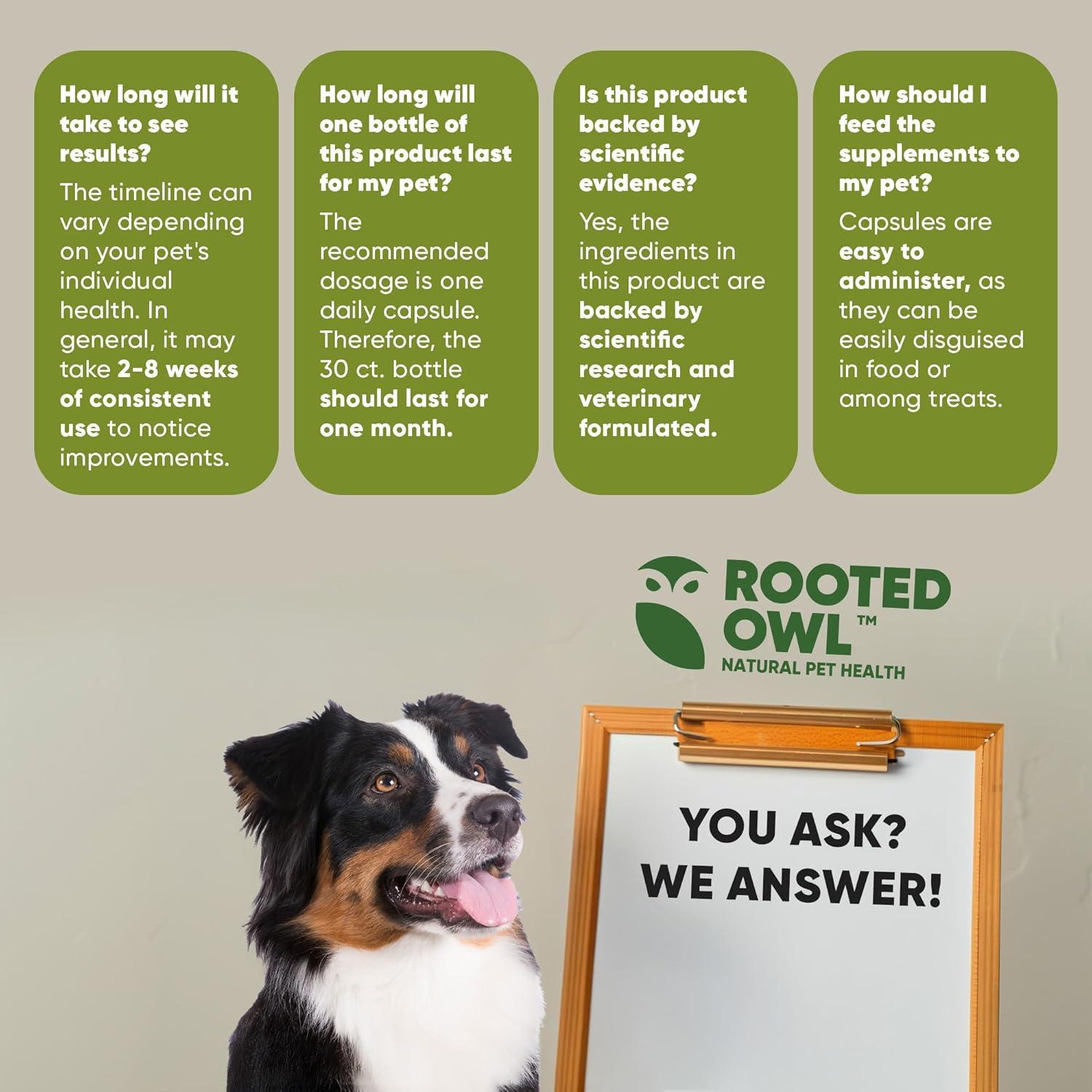 Suplemento Articulaciones y Músculos Búho Enraizado 30 Cápsulas