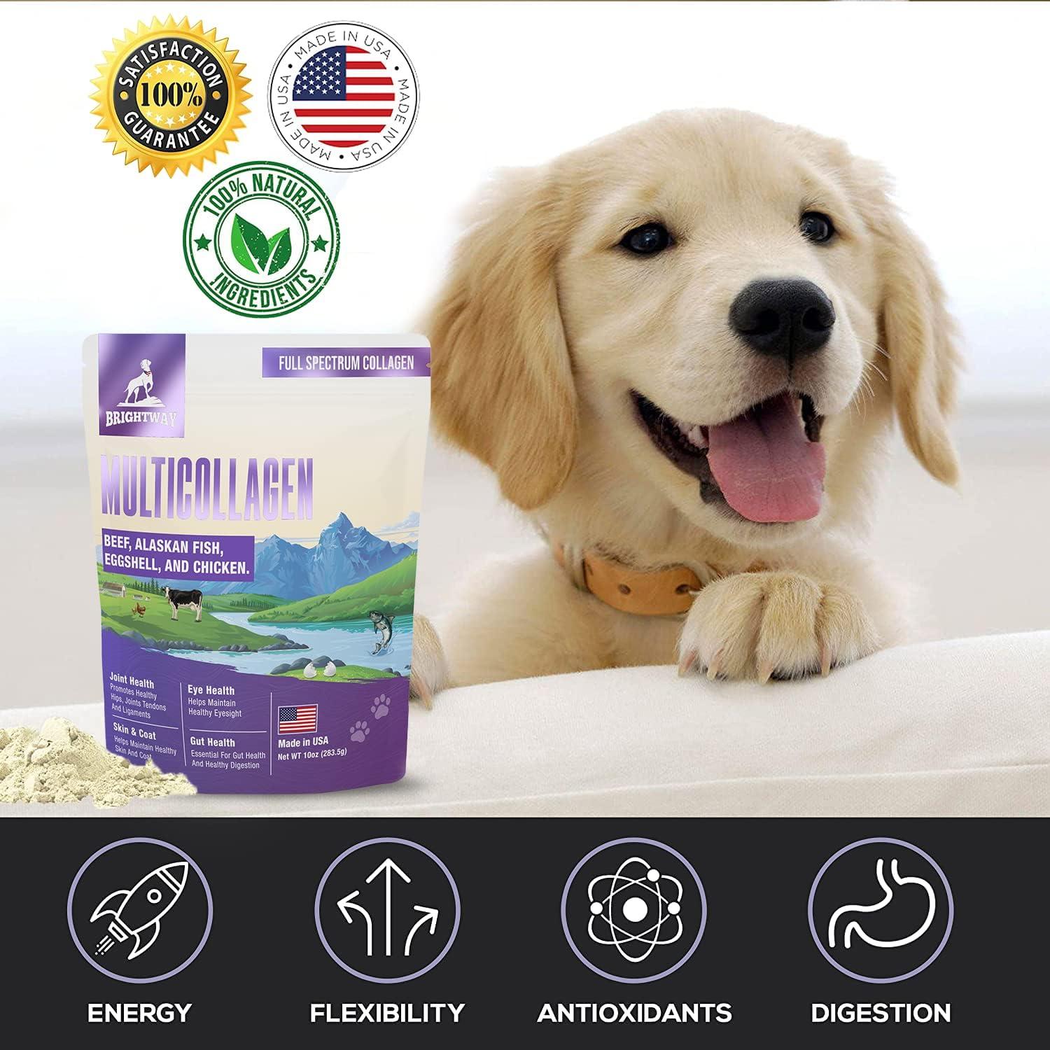 Suplemento de Colágeno Líquido para Perros Brightway 226g