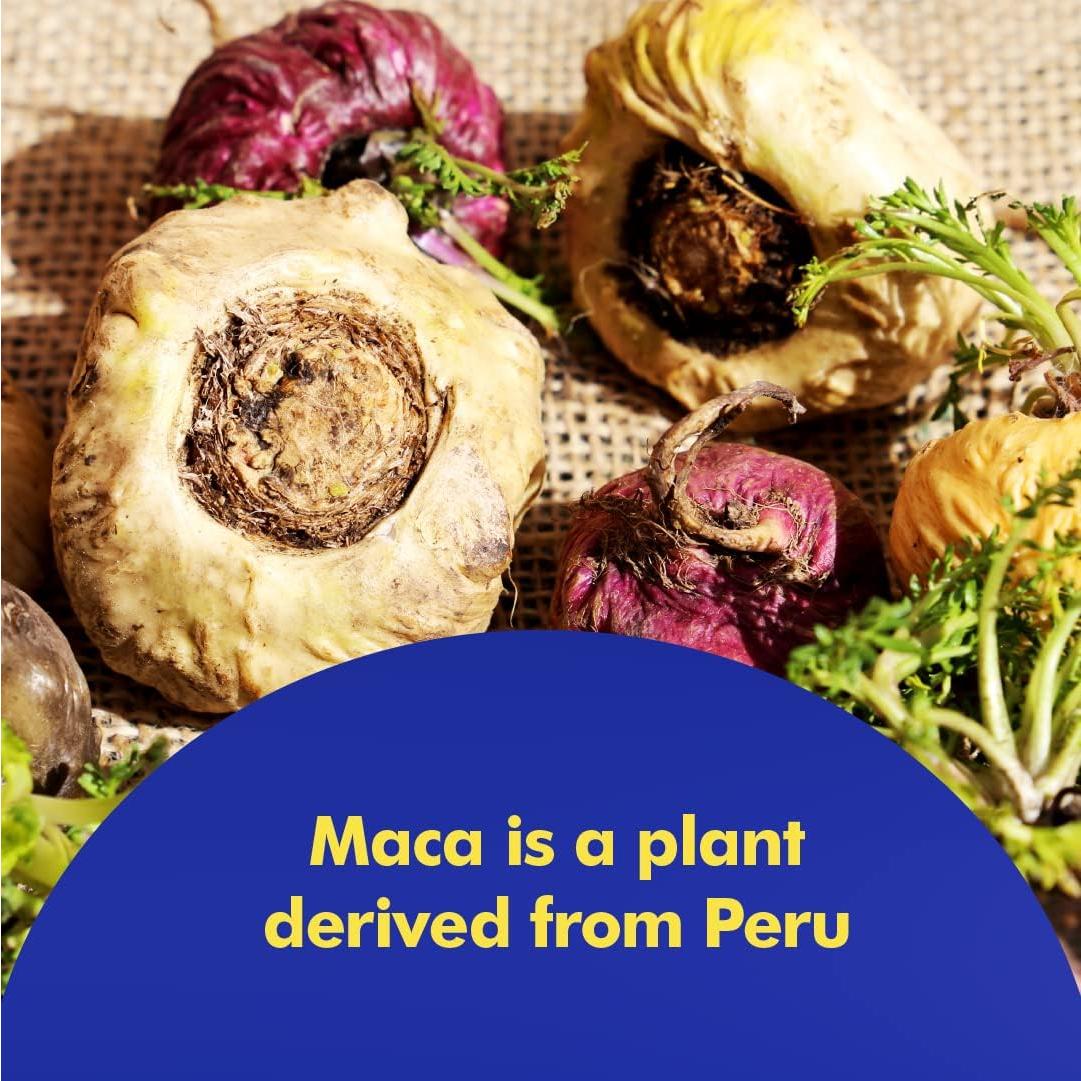 Suplemento Dietético Santo Remedio Maca 750 mg 90 Cápsulas