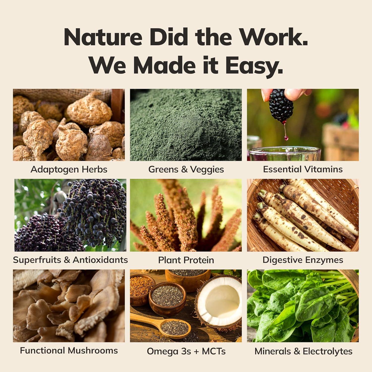 Batido Integral Ka'Chava Matcha 915g - Proteína Vegana y Superalimentos