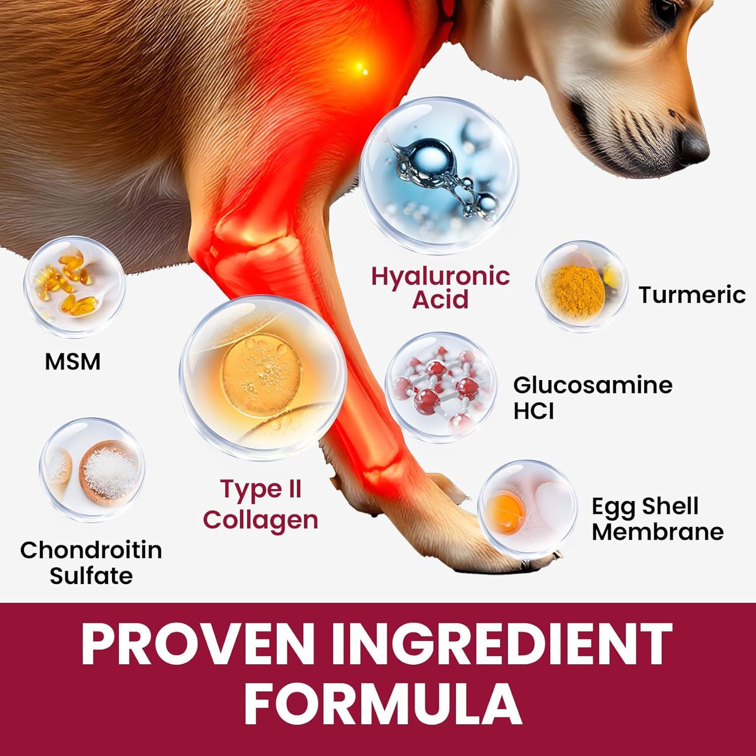 Suplemento Líquido para Perros BuddyCheer 60ml - Glucosamina y Colágeno
