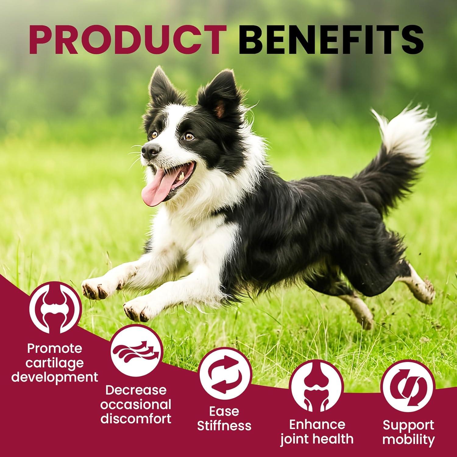 Suplemento Líquido para Perros BuddyCheer 60ml - Glucosamina y Colágeno