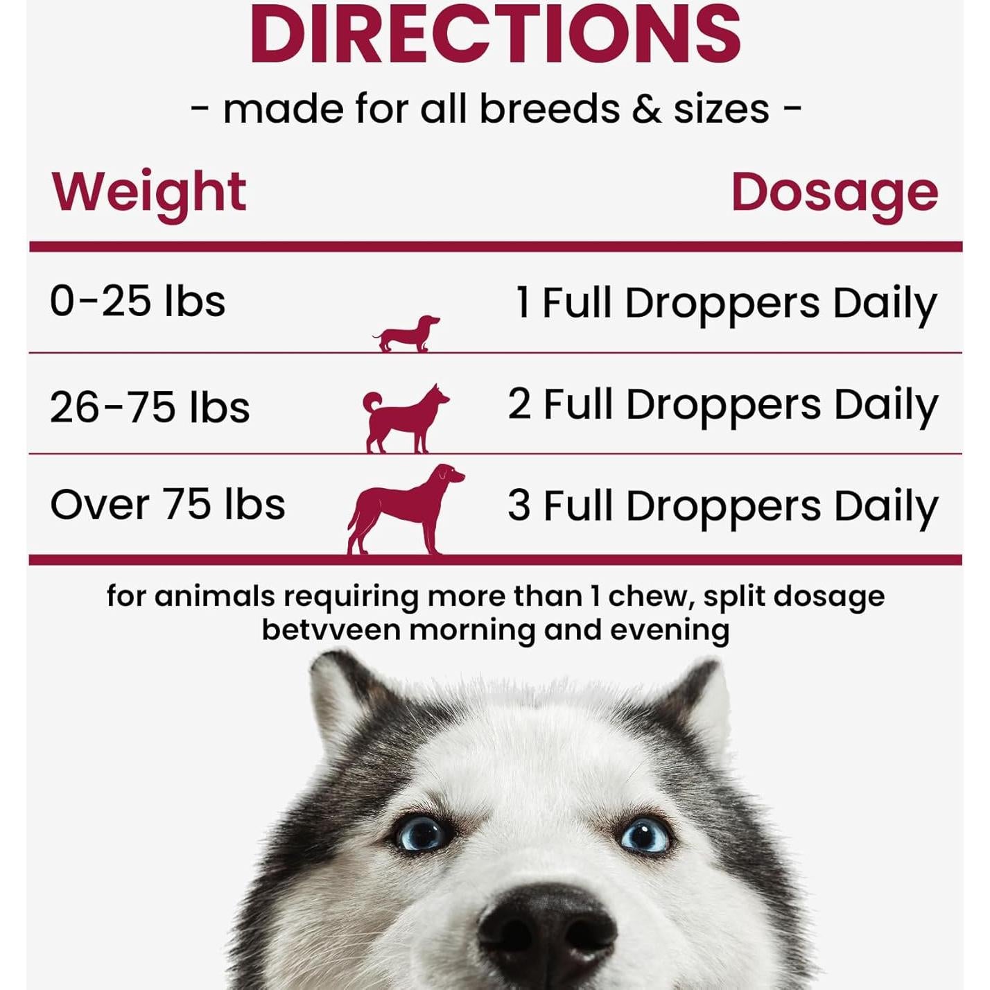 Suplemento Líquido para Perros BuddyCheer 60ml - Glucosamina y Colágeno