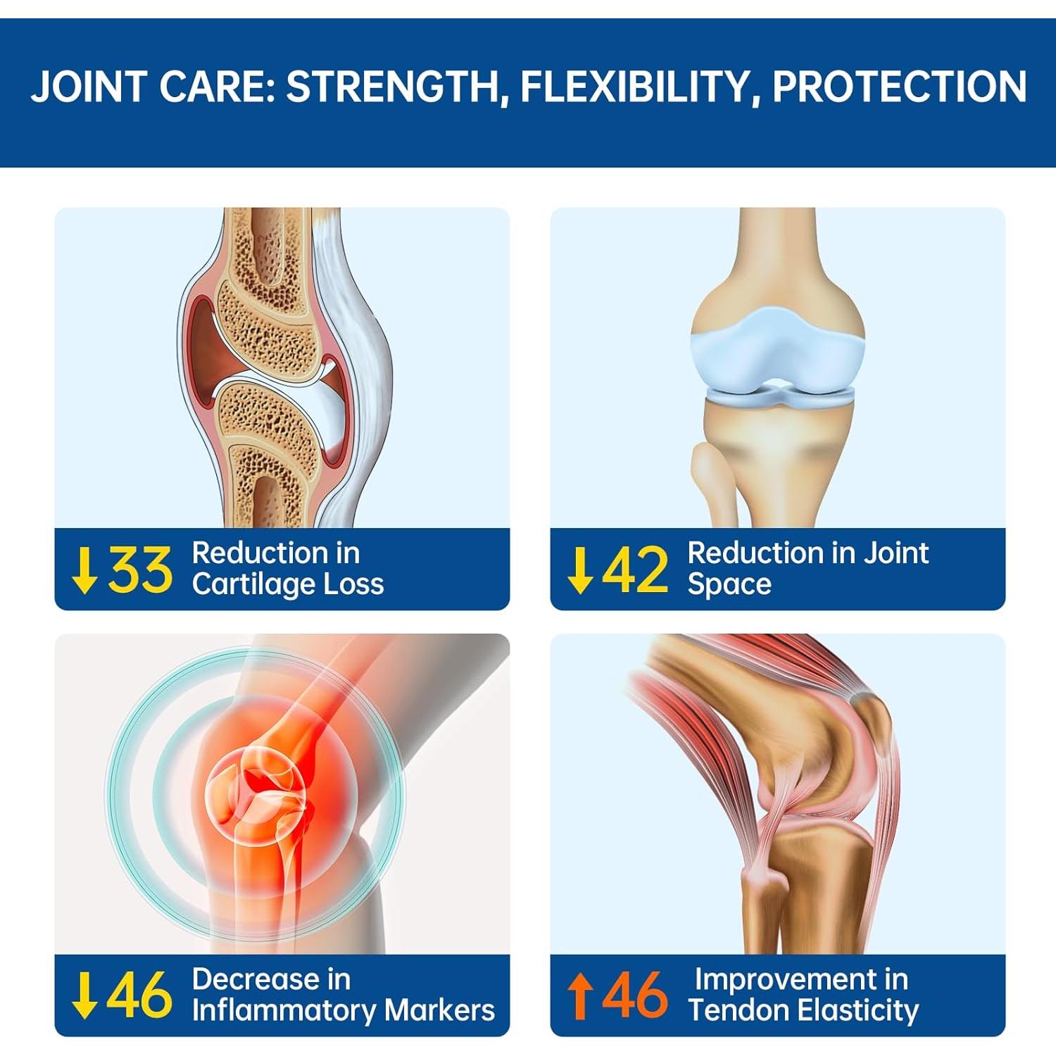 Suplemento Articular Purmeo OptiTrans 120 Cápsulas - Glucosamina, Condroitina, MSM, Boswellia - Hecho en Alemania