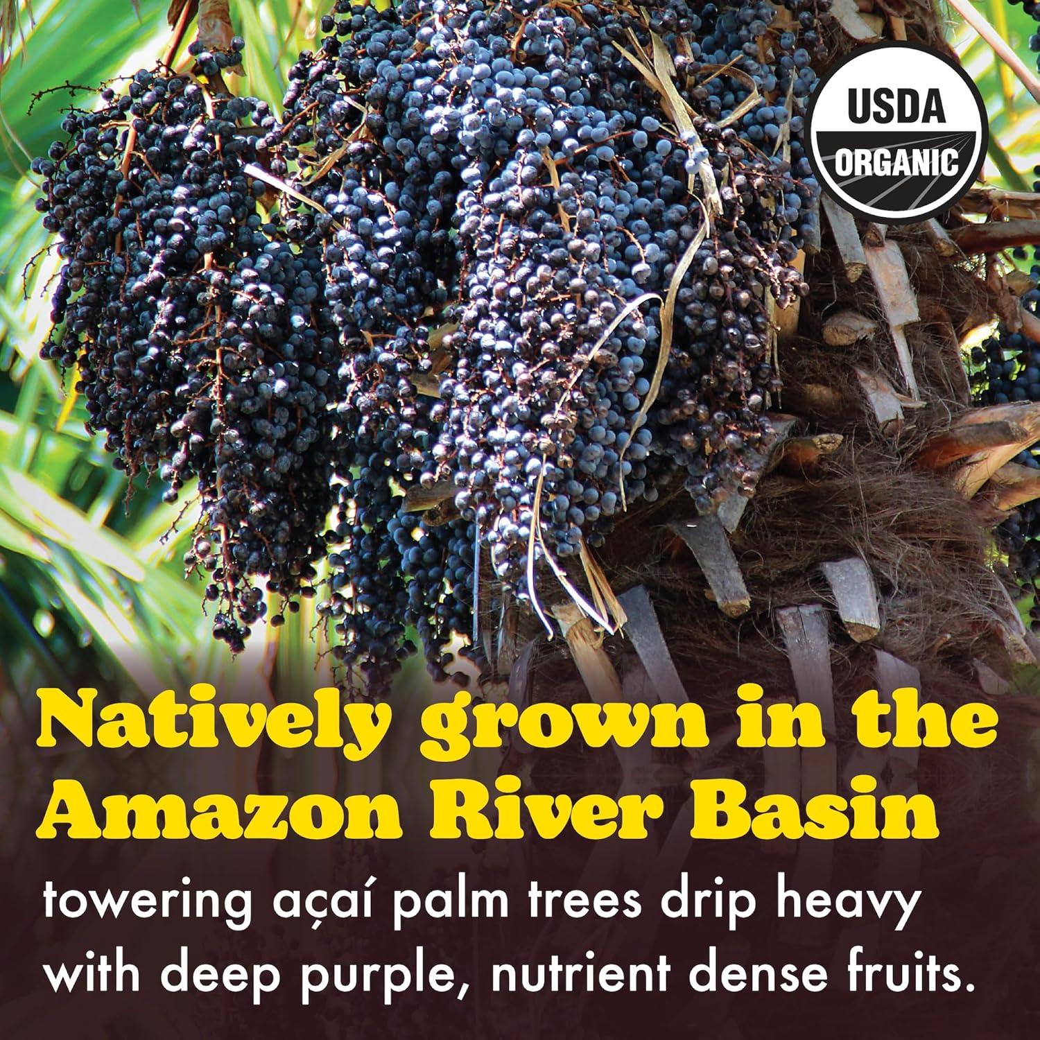 Polvo de Acai Orgánico Liofilizado Wilderness Poets 454g